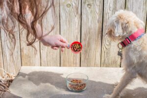 Аналог корма для собак Purina. Обзор и сравнение с Just Dog