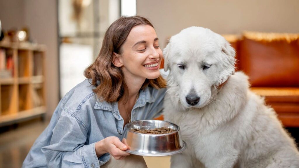 Разбираем аналог корма для собак Royal Canin