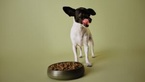 Чем заменить корм для собак Farmina Vet Life?